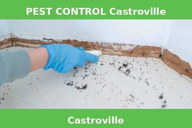 PEST CONTROL Castroville